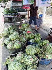 江门网红酒店吃瓜事件,揭秘酒店风波背后的真相