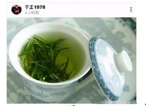 绿茶吃瓜网,揭秘娱乐圈那些不为人知的幕后故事