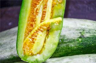 网红吃瓜网,揭秘娱乐圈幕后真相，带你领略明星生活百态