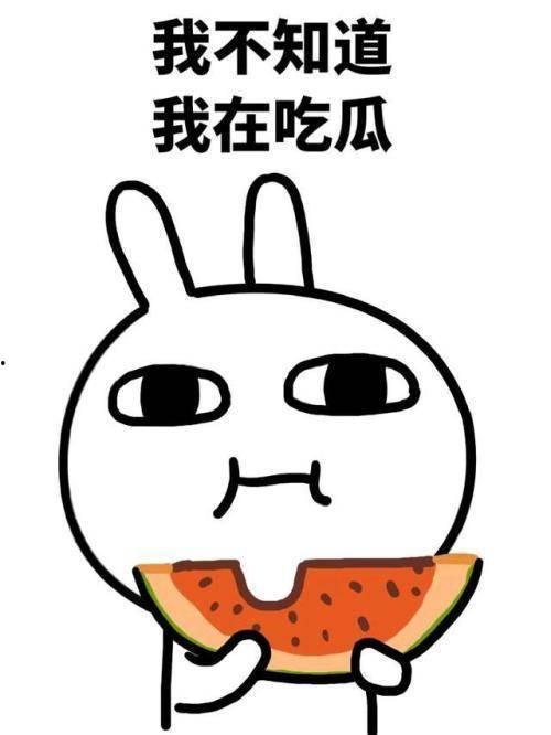 吃瓜网不能登录了吗,原因揭秘及解决方案