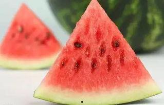 网红a毛毛吃瓜,揭秘娱乐圈幕后真相