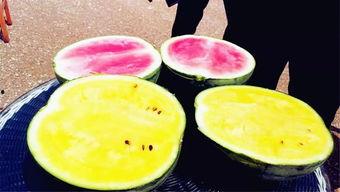 网红吃瓜大爆料图片