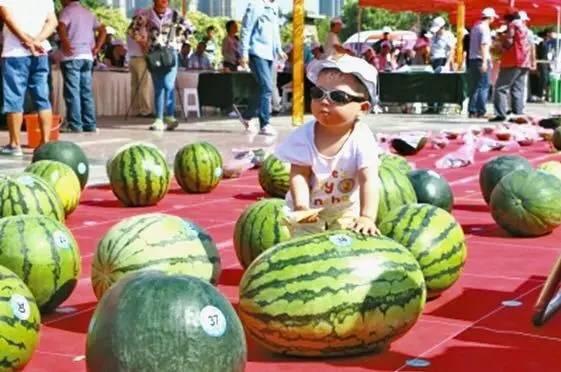 51大赛吃瓜网反差,揭秘明星反差萌，笑料百出幕后故事