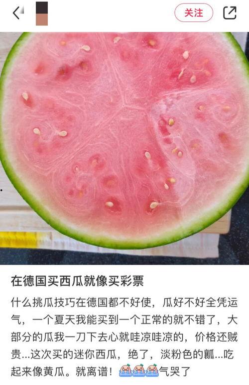 全网吃瓜论坛官网,揭秘娱乐圈幕后真相，带你领略八卦风云！